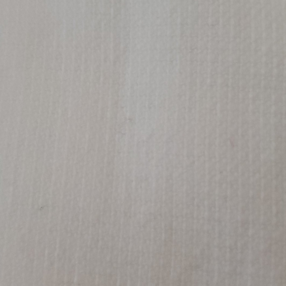 🆕️ Rae Dunn Christmas Kitchen Towels Set of 2 - Picture 5 of 10